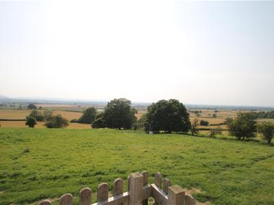 Picture 9